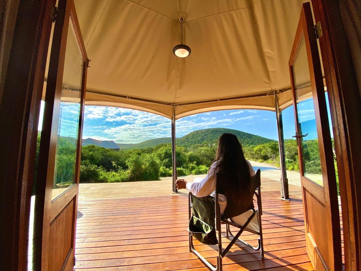 Parkview Safari Lodge Колчестер Екстер'єр фото