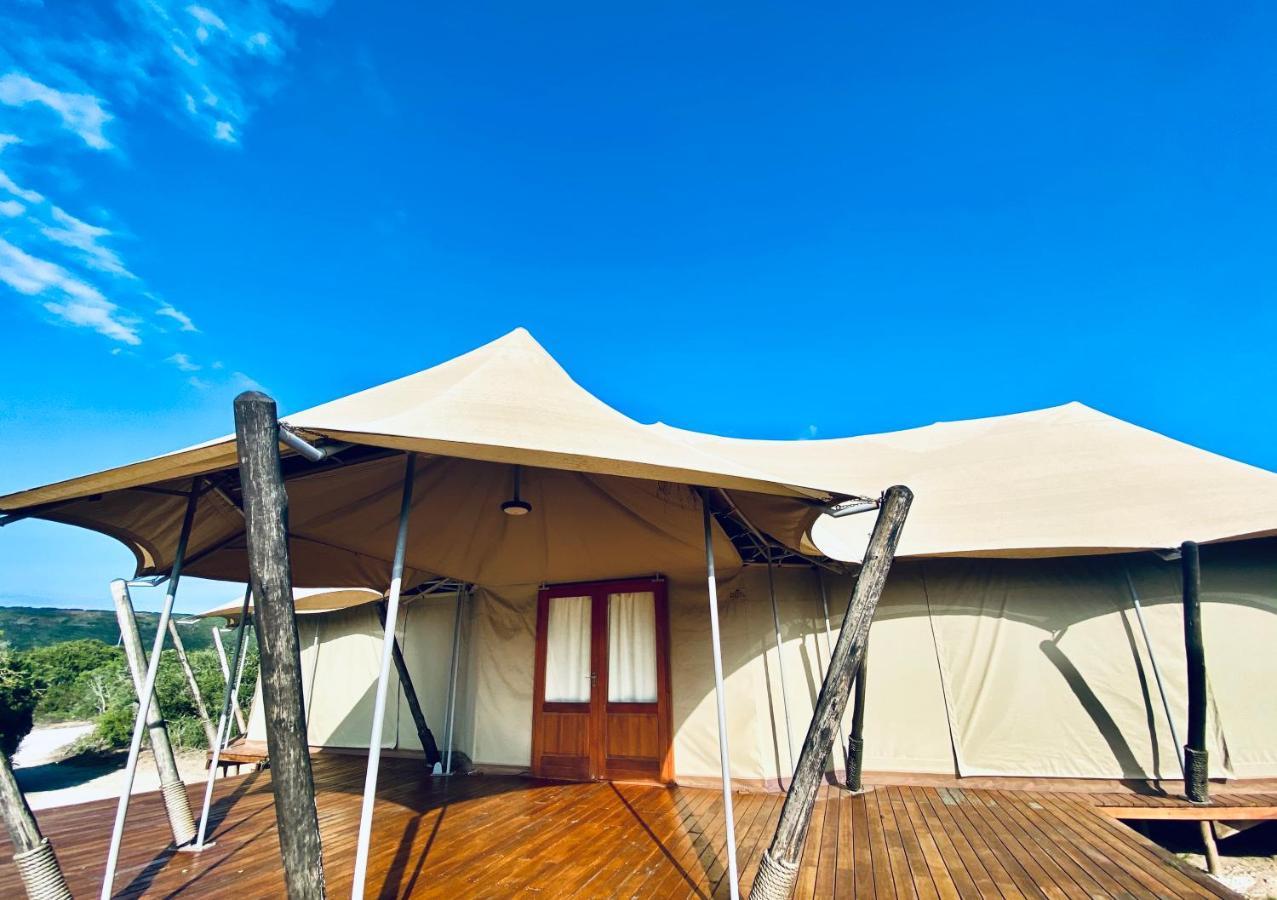 Parkview Safari Lodge Колчестер Екстер'єр фото