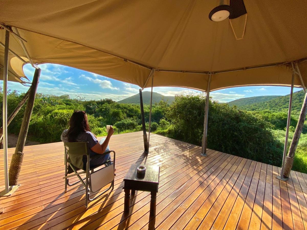 Parkview Safari Lodge Колчестер Екстер'єр фото