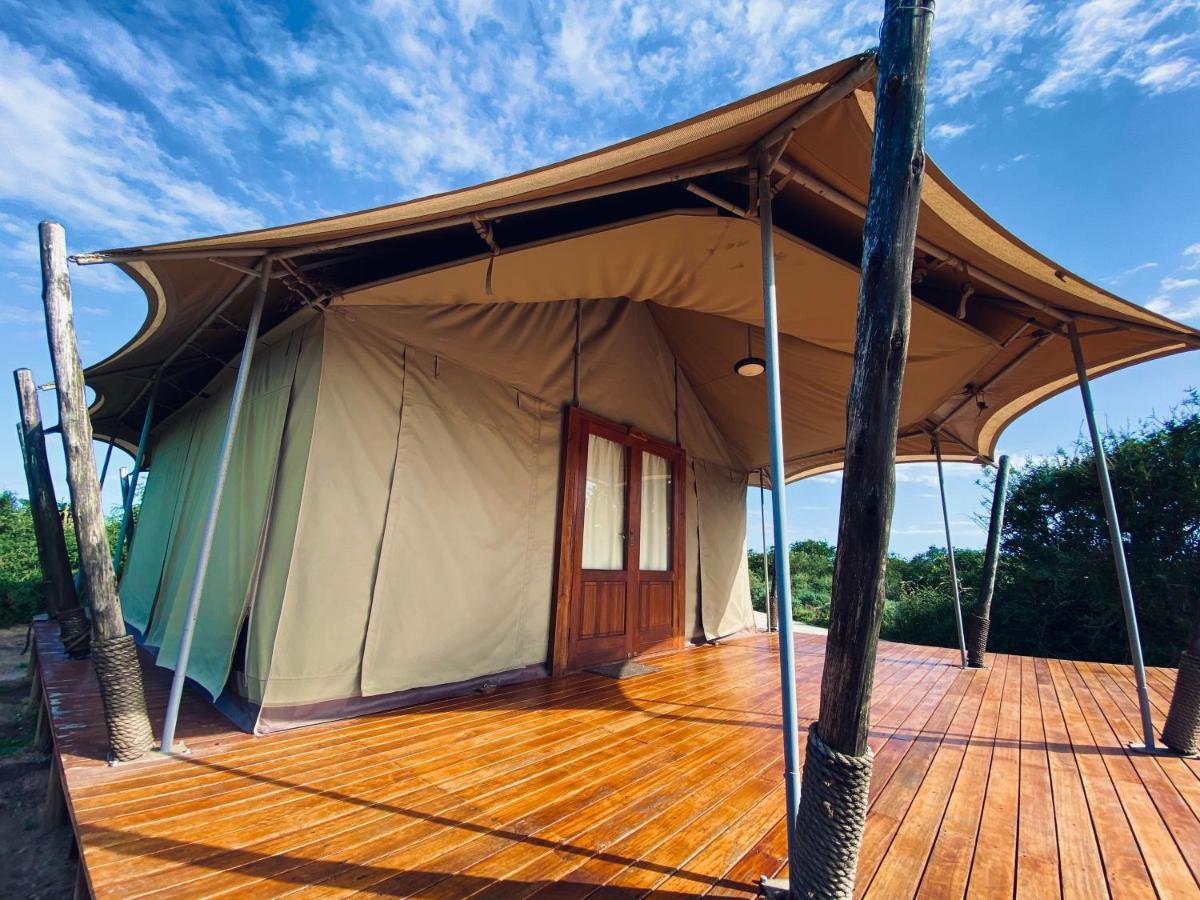 Parkview Safari Lodge Колчестер Екстер'єр фото