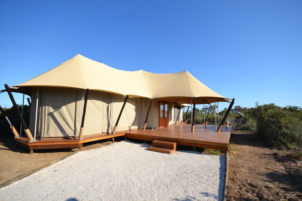 Parkview Safari Lodge Колчестер Екстер'єр фото