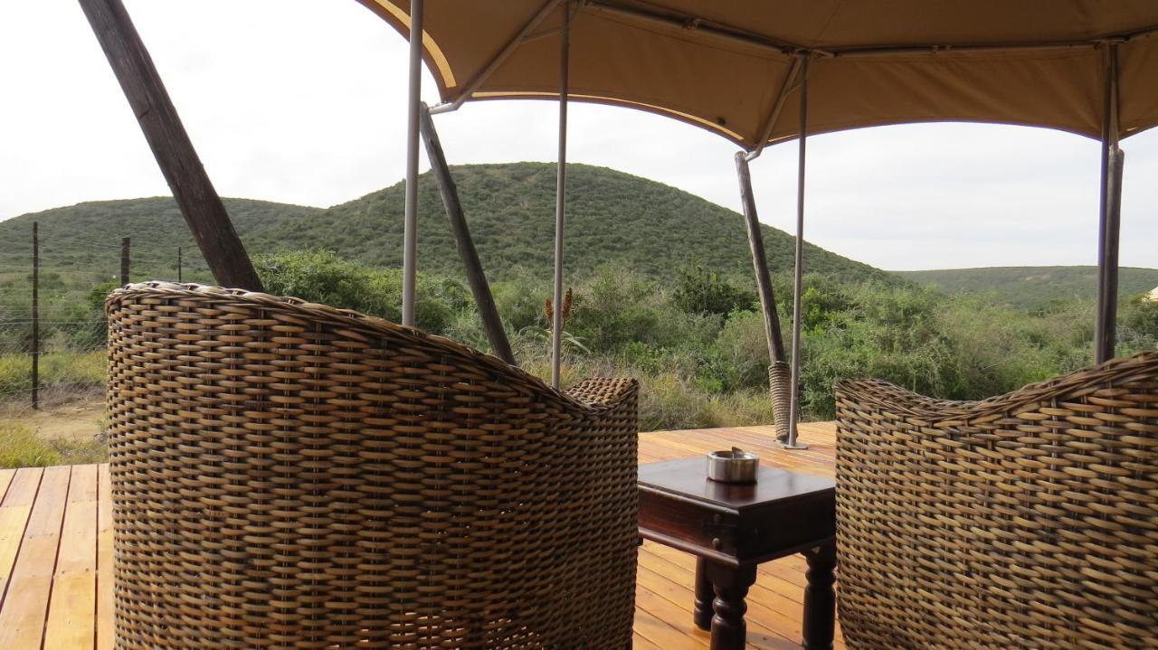 Parkview Safari Lodge Колчестер Екстер'єр фото