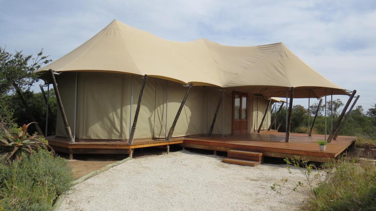 Parkview Safari Lodge Колчестер Екстер'єр фото