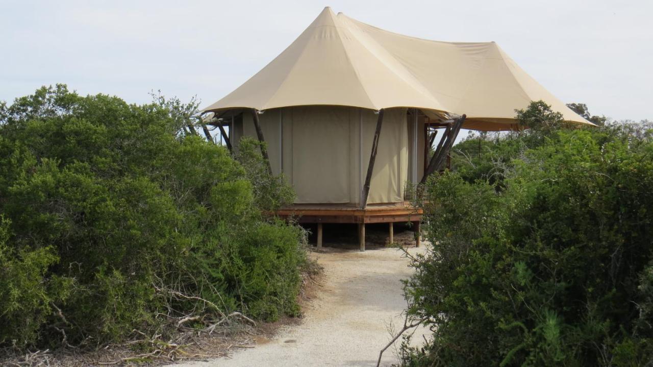 Parkview Safari Lodge Колчестер Екстер'єр фото