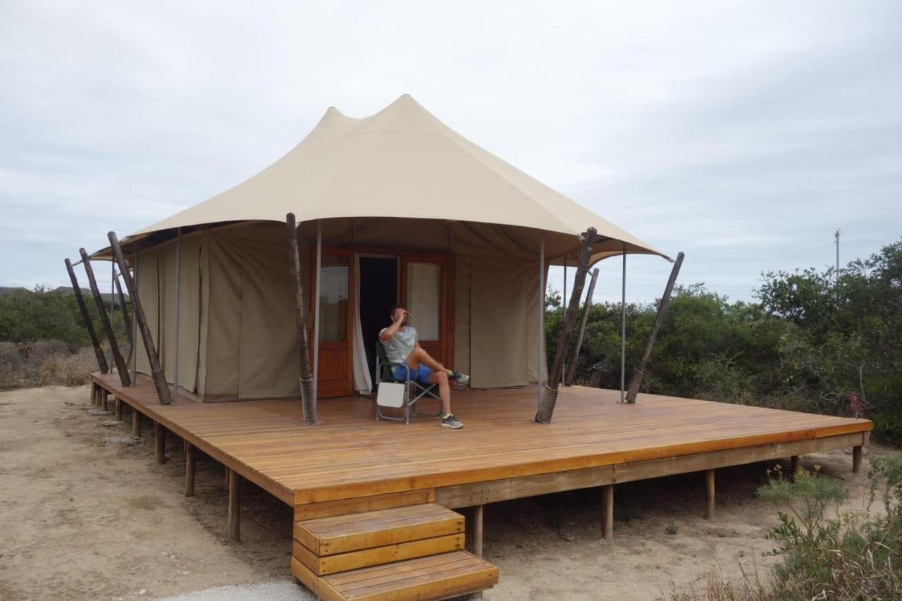 Parkview Safari Lodge Колчестер Екстер'єр фото